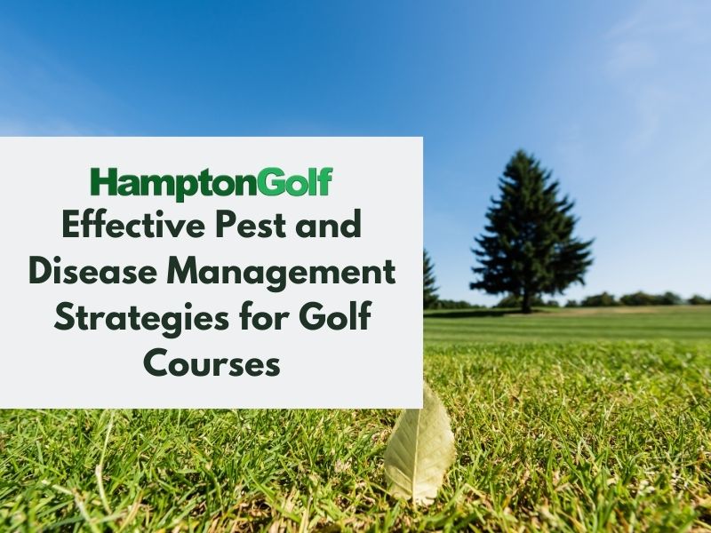 Effective Pest and Disease Management Strategies for Golf Courses
