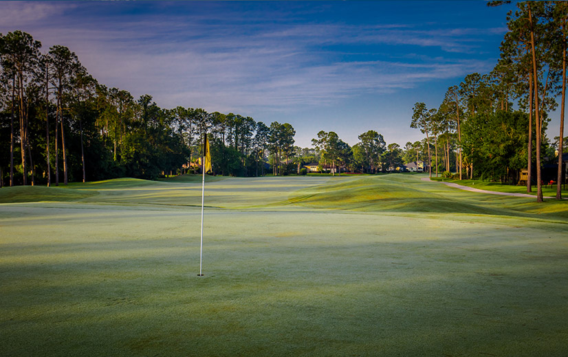 Eagle Harbor Golf Club in Fleming Island, FL | (904) 269-9300